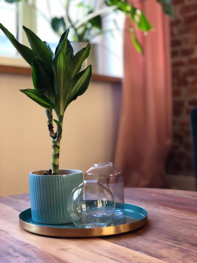 Apartament Stare Miasto 格但斯克 外观 照片